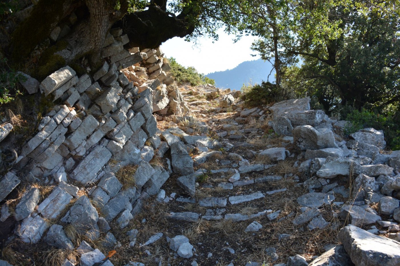 Συντήρηση & προσήμανση τμήματος μονοπατιού / Επινιανά - Δυτικά Άγραφα