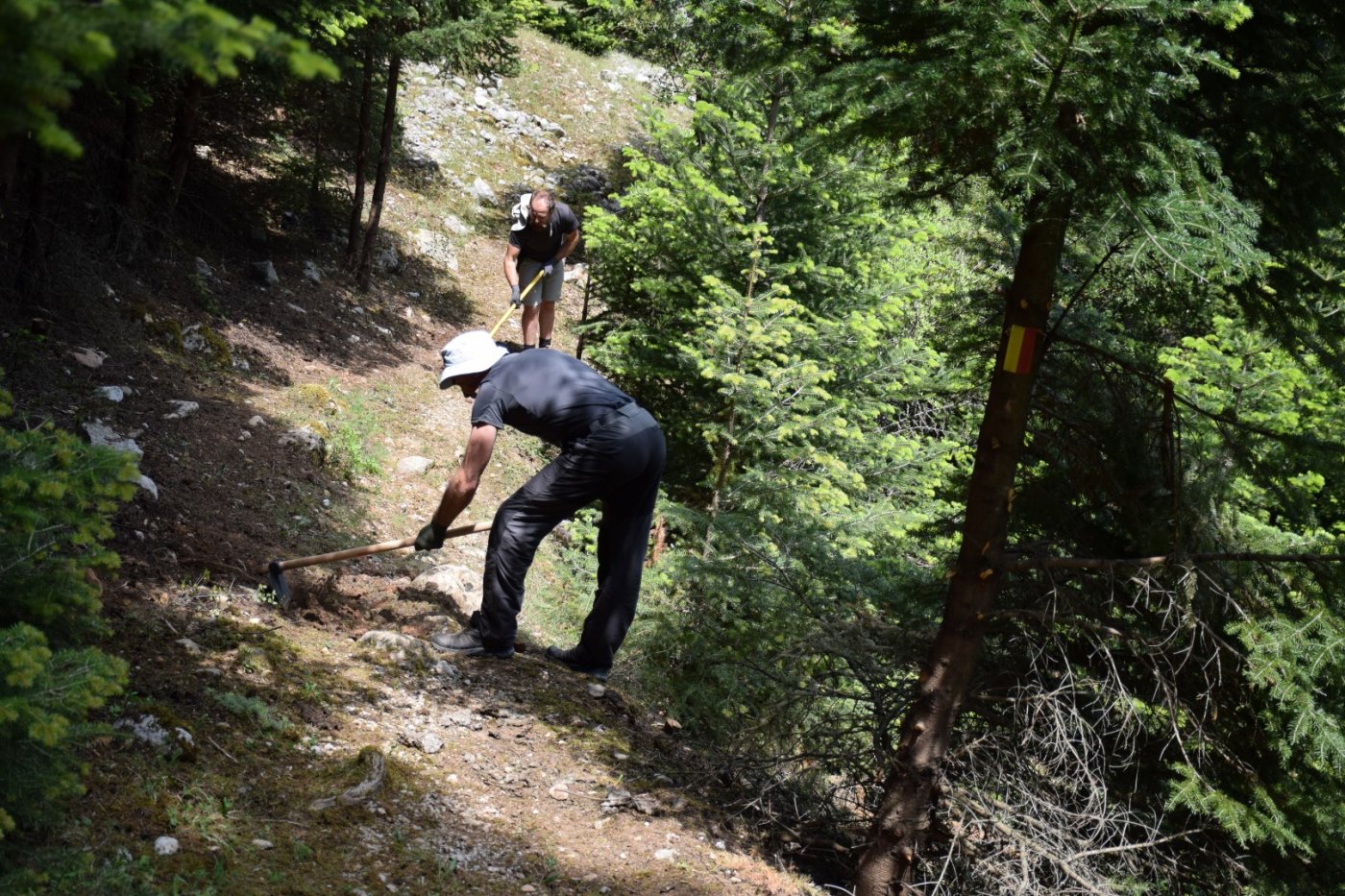 20day Volunteering camp at Viniani (Amfissa) / Pindus Trail - works in progress