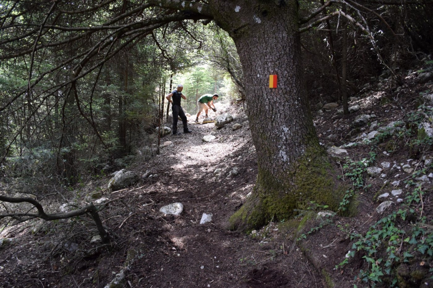 20ήμερο Camp εθελοντισμού στη Βίνιανη Φωκίδας / Pindus Trail - εργασίες σε εξέλιξη