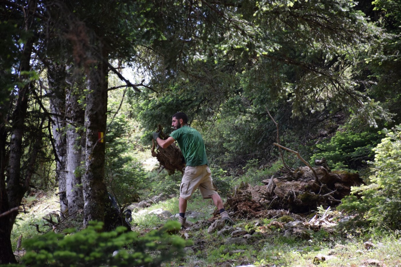 20day Volunteering camp at Viniani (Amfissa) / Pindus Trail - works in progress