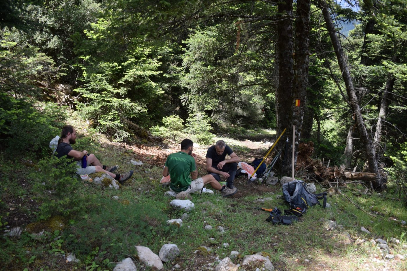 20ήμερο Camp εθελοντισμού στη Βίνιανη Φωκίδας / Pindus Trail - εργασίες σε εξέλιξη