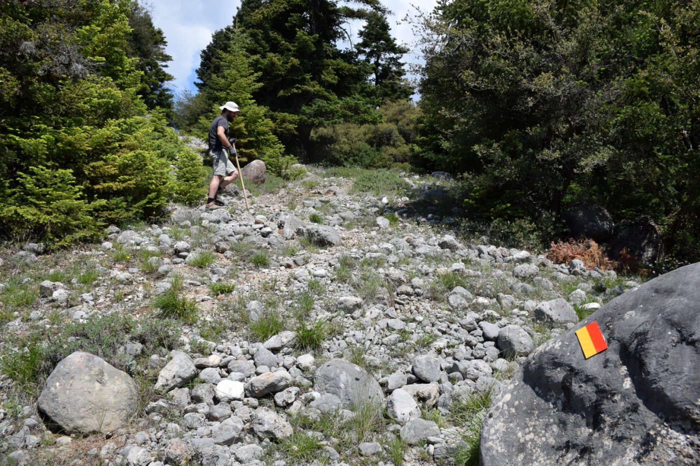 20day Volunteering camp at Viniani (Amfissa) / Pindus Trail - works in progress