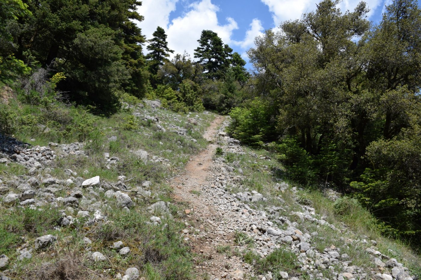 20ήμερο Camp εθελοντισμού στη Βίνιανη Φωκίδας / Pindus Trail - εργασίες σε εξέλιξη