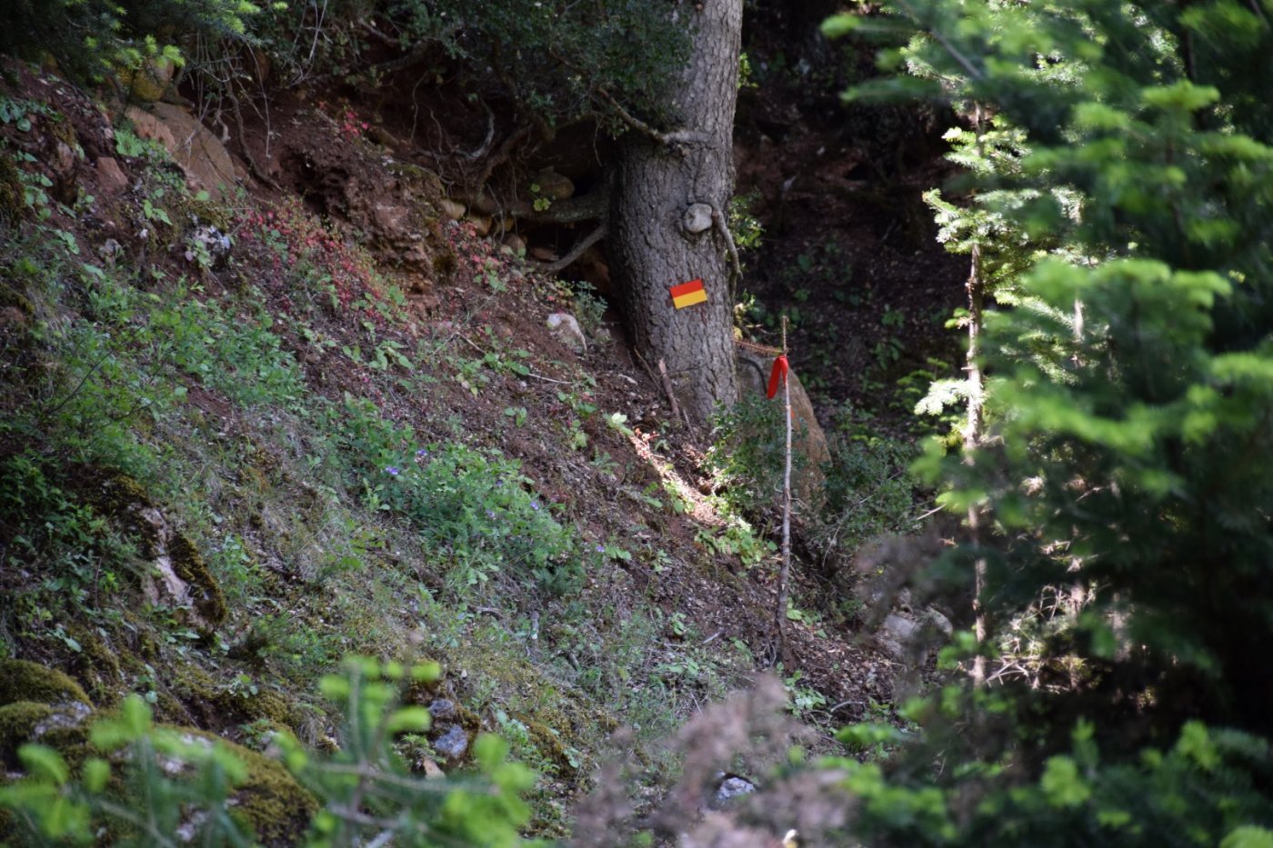 20ήμερο Camp εθελοντισμού στη Βίνιανη Φωκίδας / Pindus Trail - εργασίες σε εξέλιξη