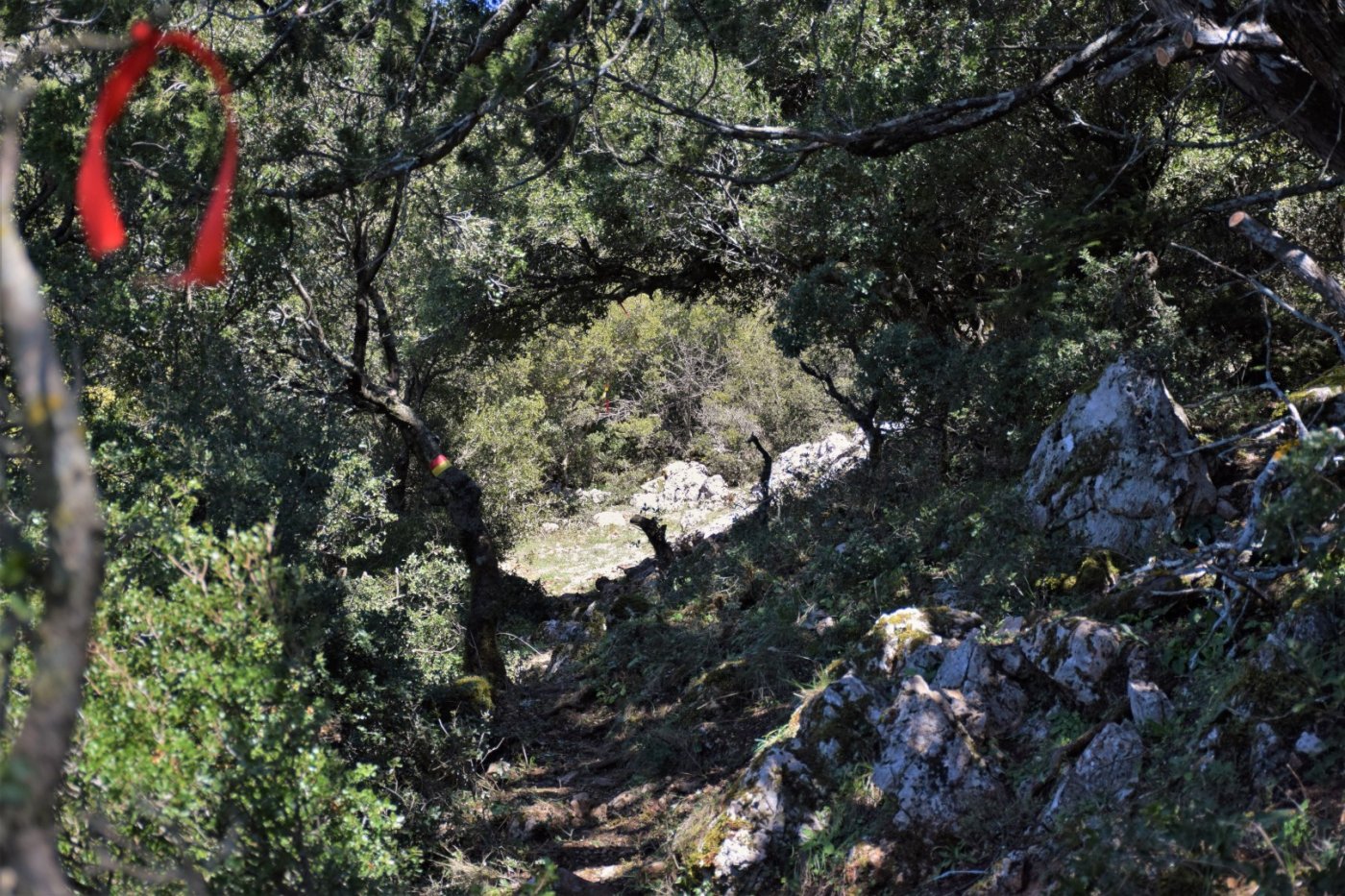 20day Volunteering camp at Viniani (Amfissa) / Pindus Trail - works in progress