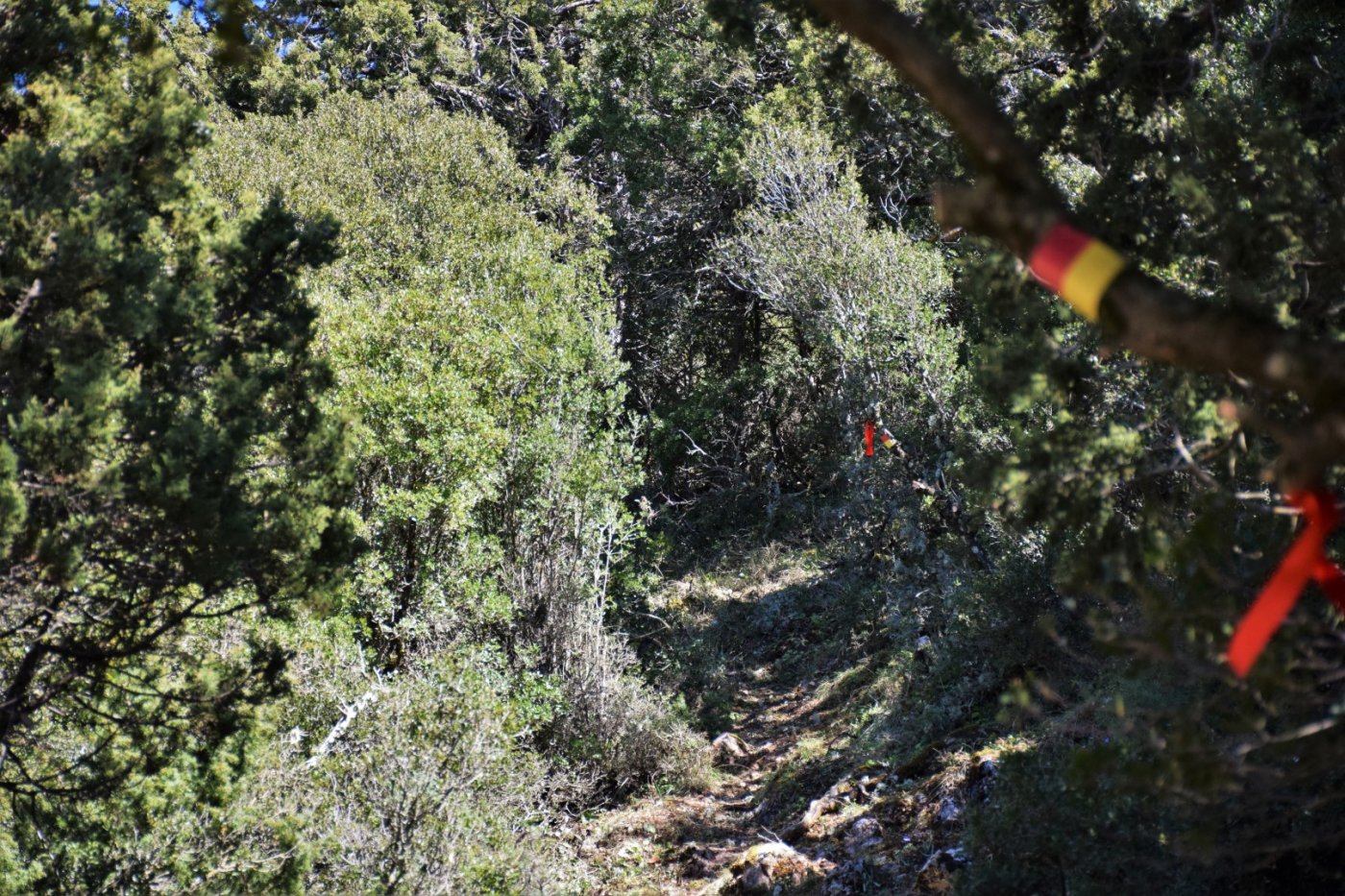 20ήμερο Camp εθελοντισμού στη Βίνιανη Φωκίδας / Pindus Trail - εργασίες σε εξέλιξη