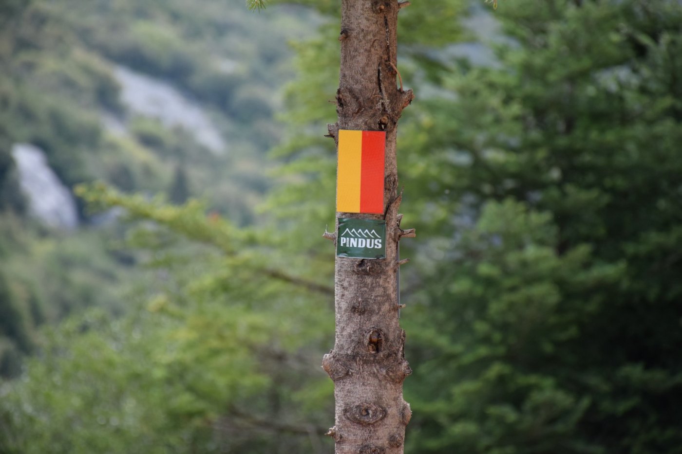 20day Volunteering camp at Viniani (Amfissa) / Pindus Trail - works in progress