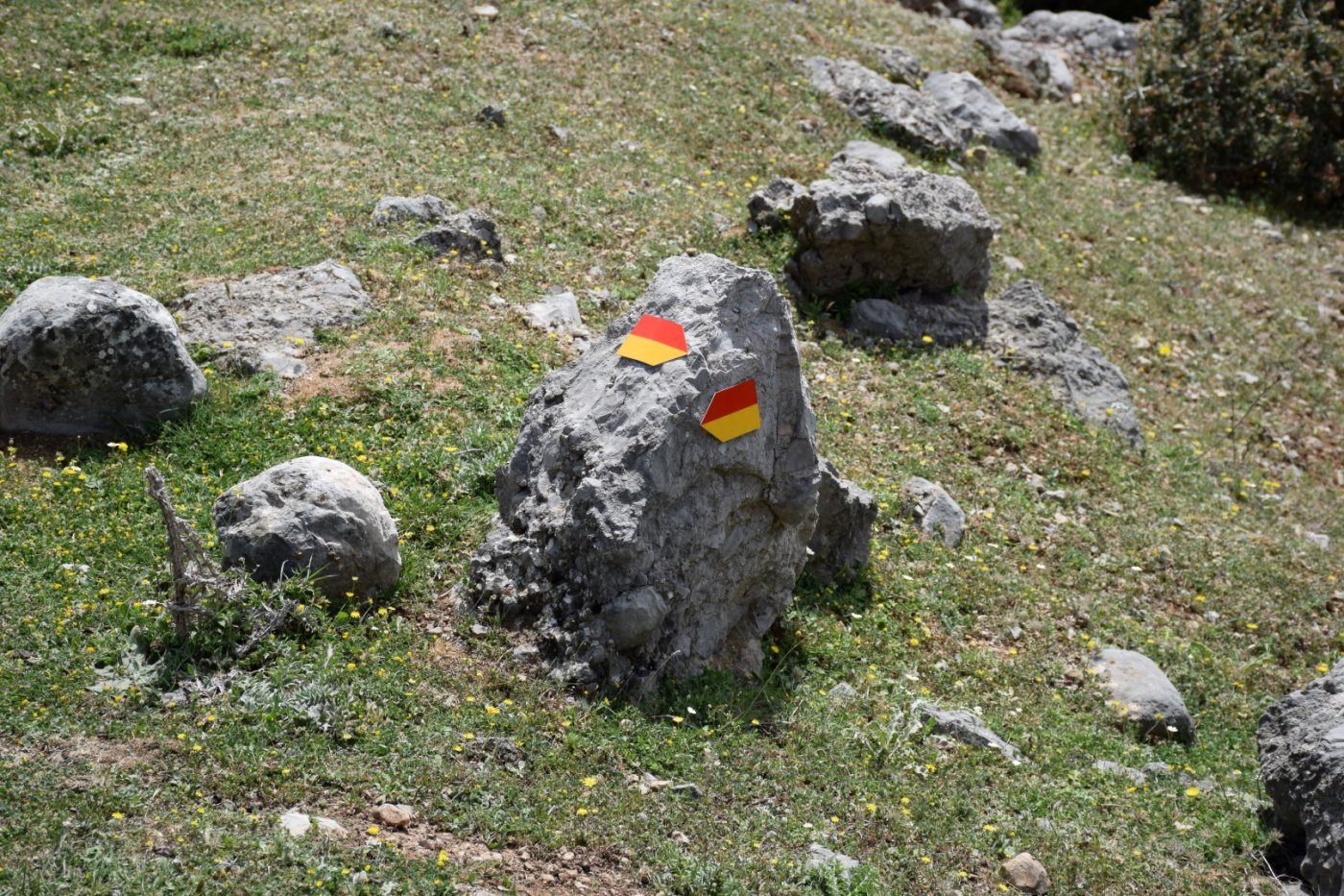 20ήμερο Camp εθελοντισμού στη Βίνιανη Φωκίδας / Pindus Trail - εργασίες σε εξέλιξη