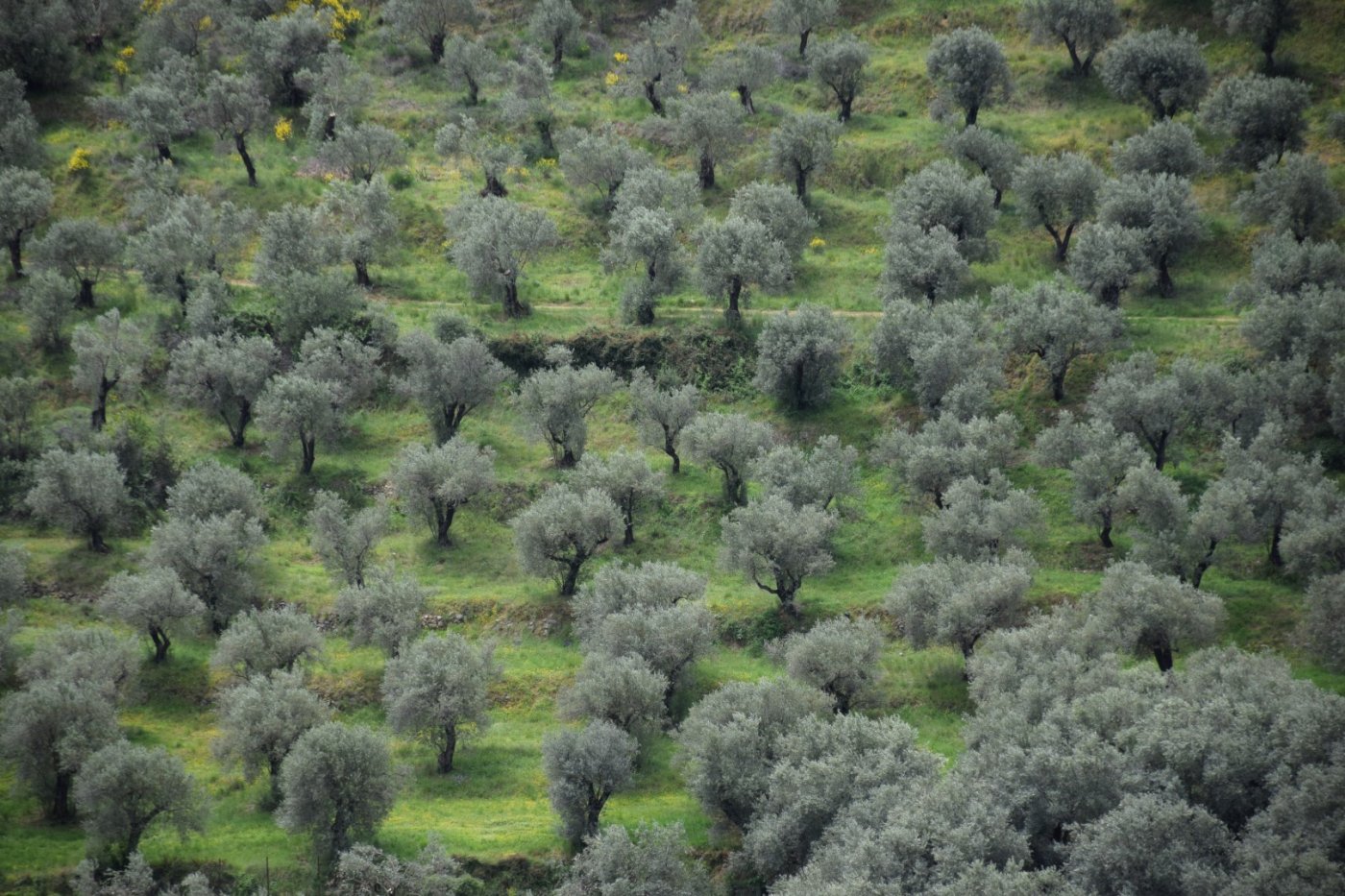 20ήμερο Camp εθελοντισμού στη Βίνιανη Φωκίδας / Pindus Trail - εργασίες σε εξέλιξη