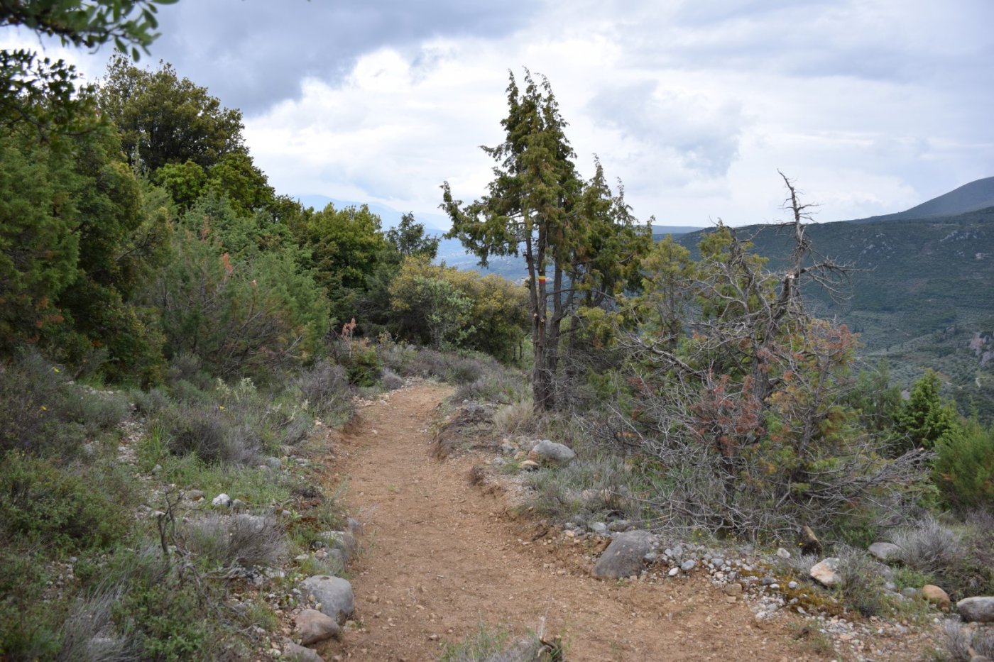 20day Volunteering camp at Viniani (Amfissa) / Pindus Trail - works in progress