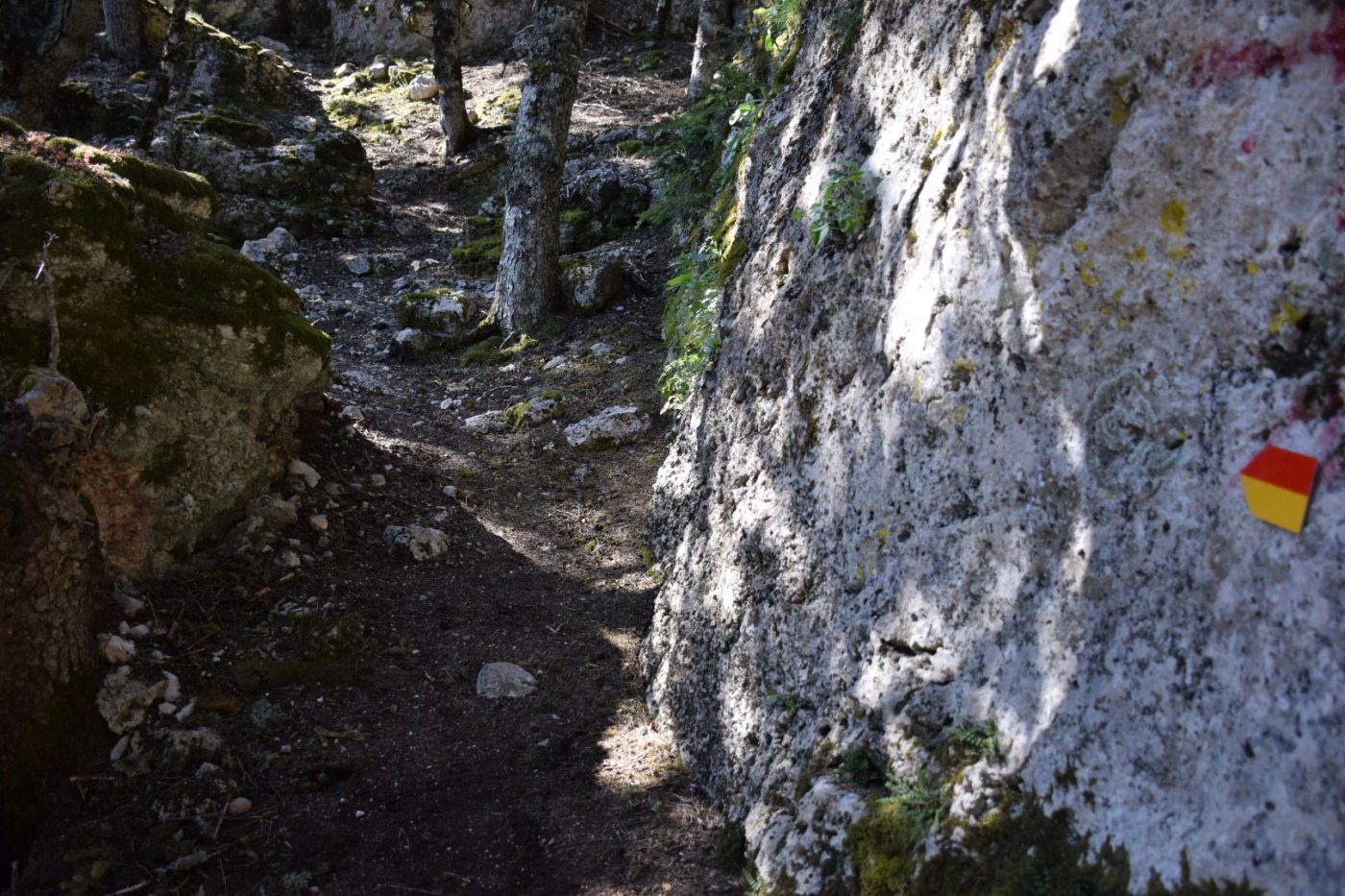 Marking on stage 2 / Amfissa - Prosilio - Viniani is completed