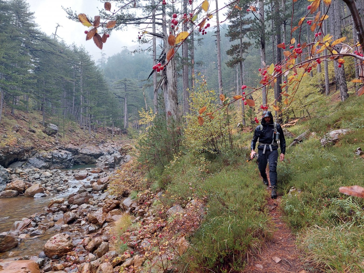 Maintenance on Pindus trail segments / North Pindus