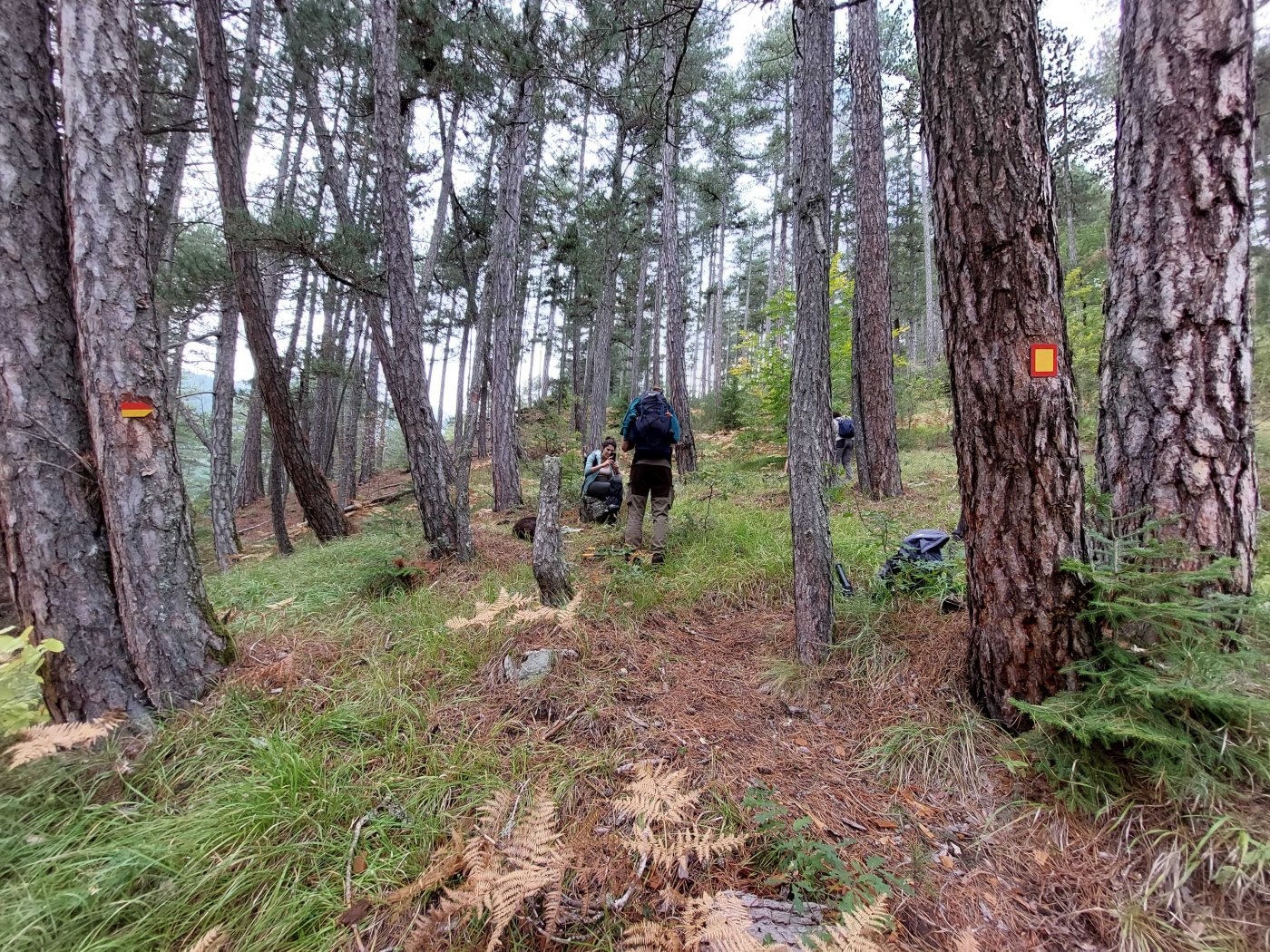 Maintenance on Pindus trail segments / North Pindus