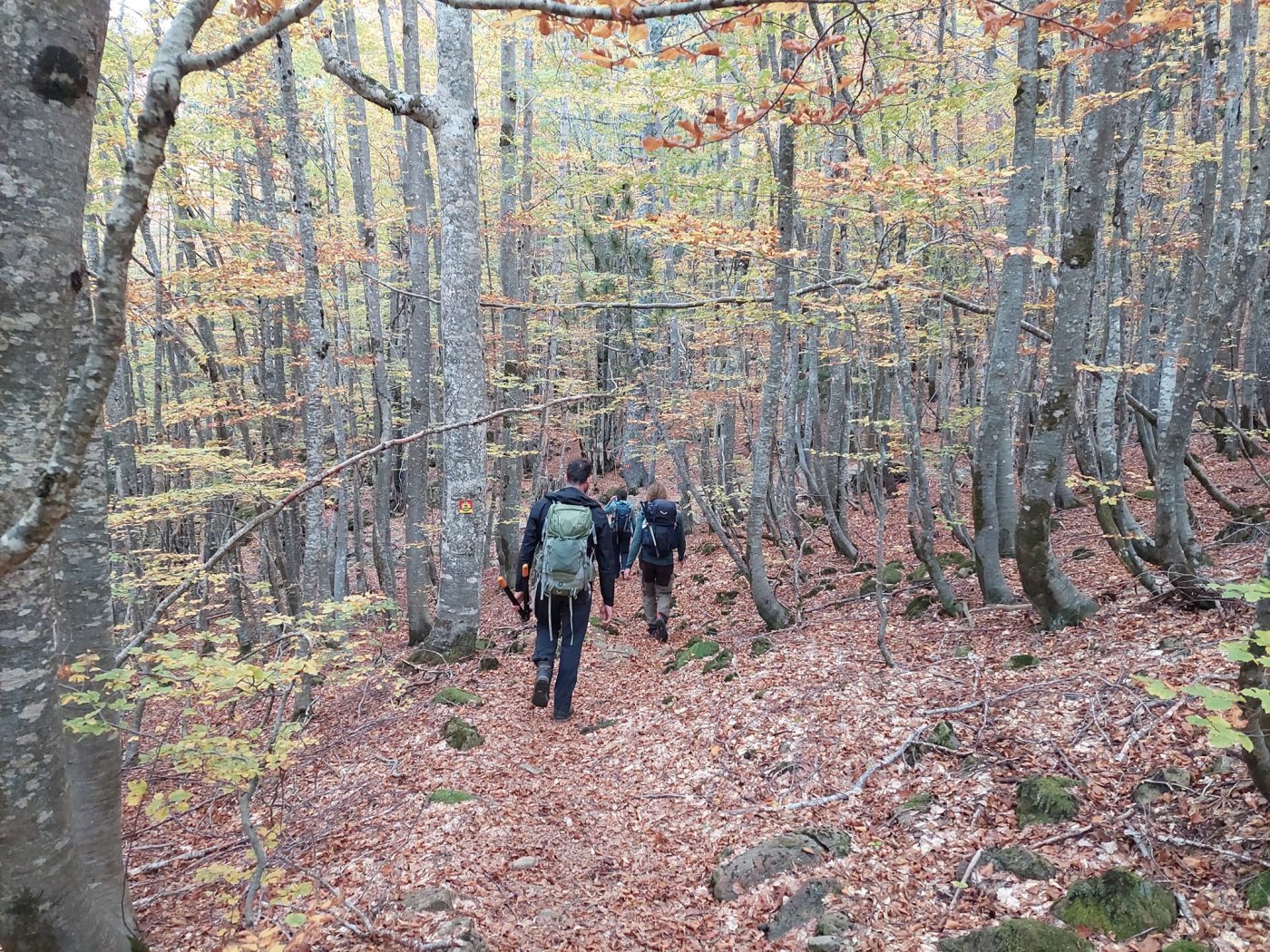 Maintenance on Pindus trail segments / North Pindus