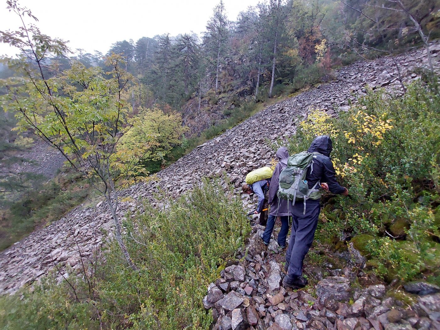 Maintenance on Pindus trail segments / North Pindus