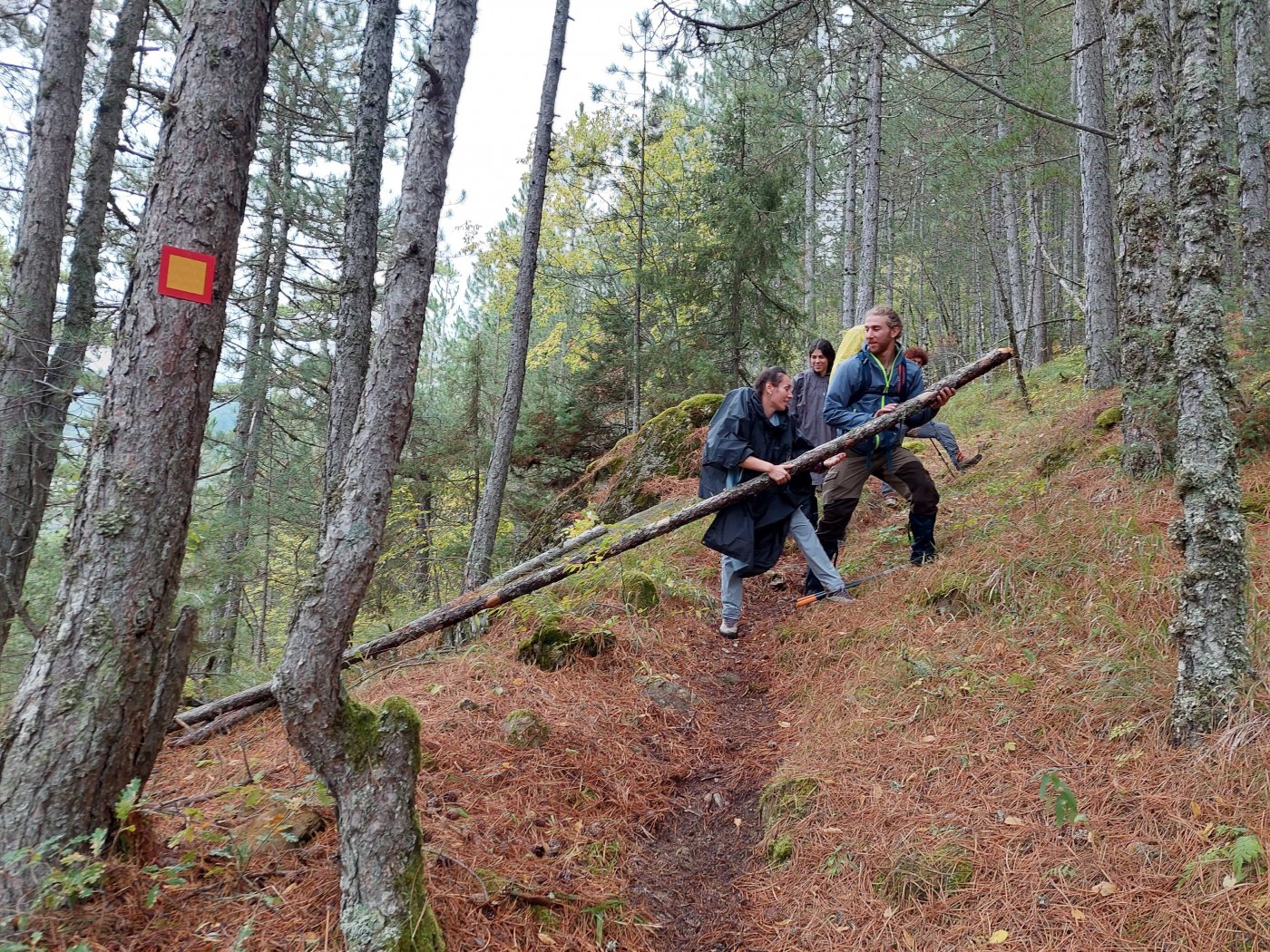 Maintenance on Pindus trail segments / North Pindus