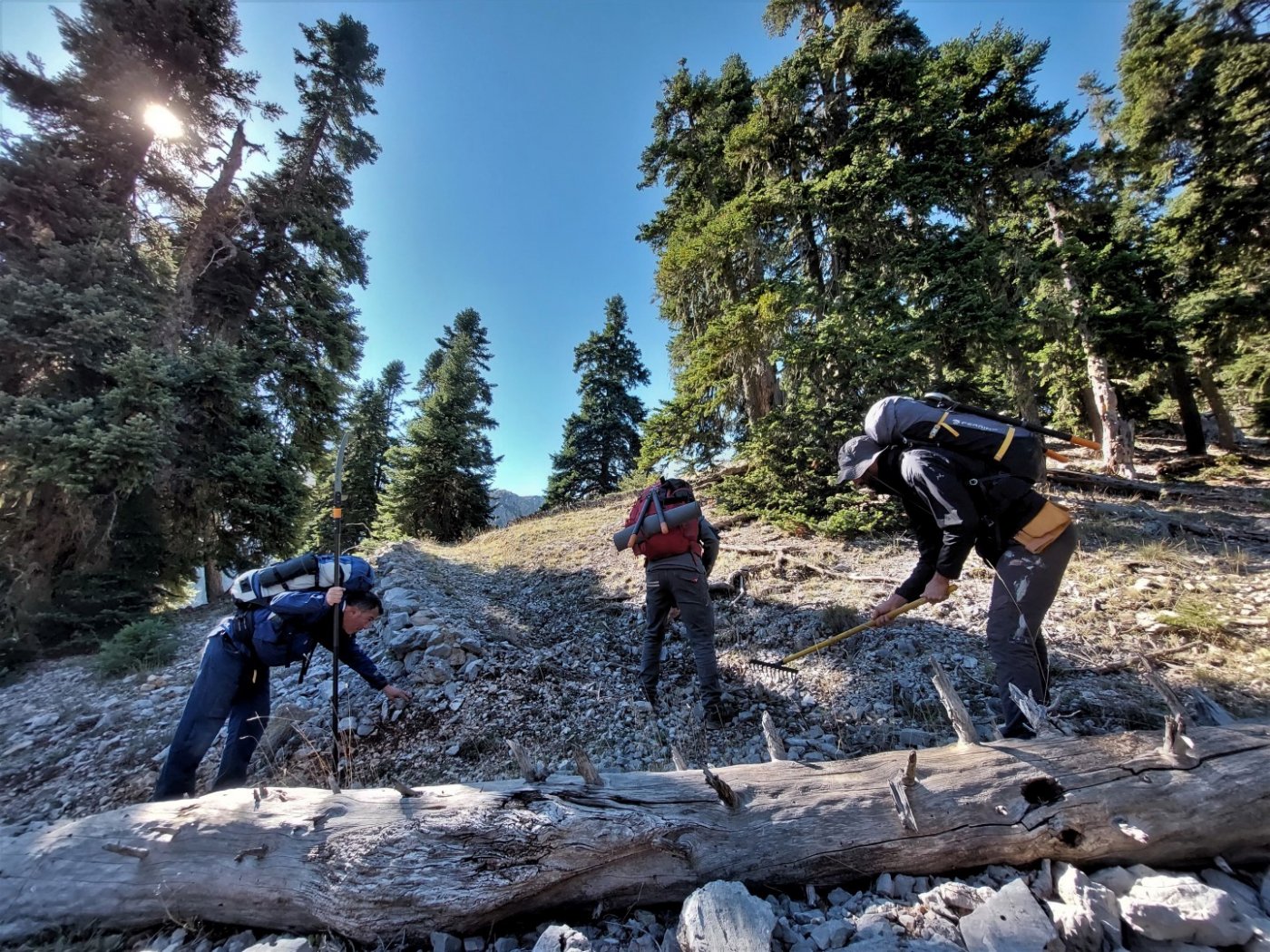 Reka`s gorge path maintenance & marking / Giona mt.