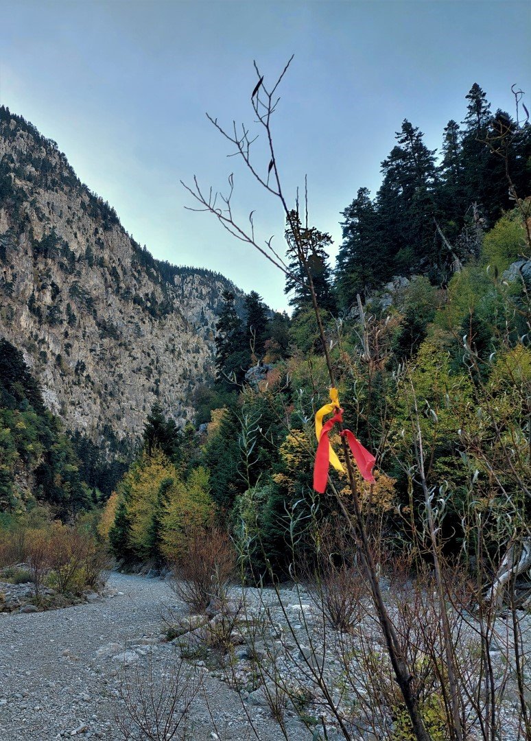 Reka`s gorge path maintenance & marking / Giona mt.