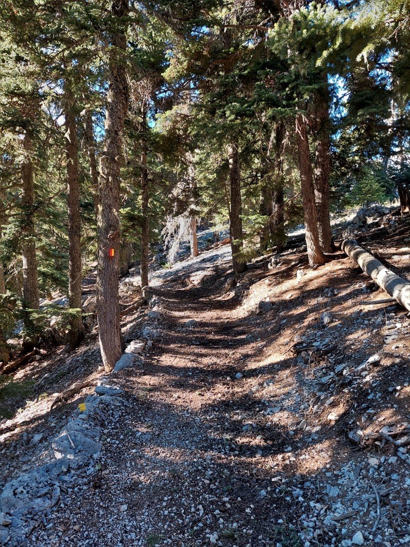 Reka`s gorge path maintenance & marking / Giona mt.