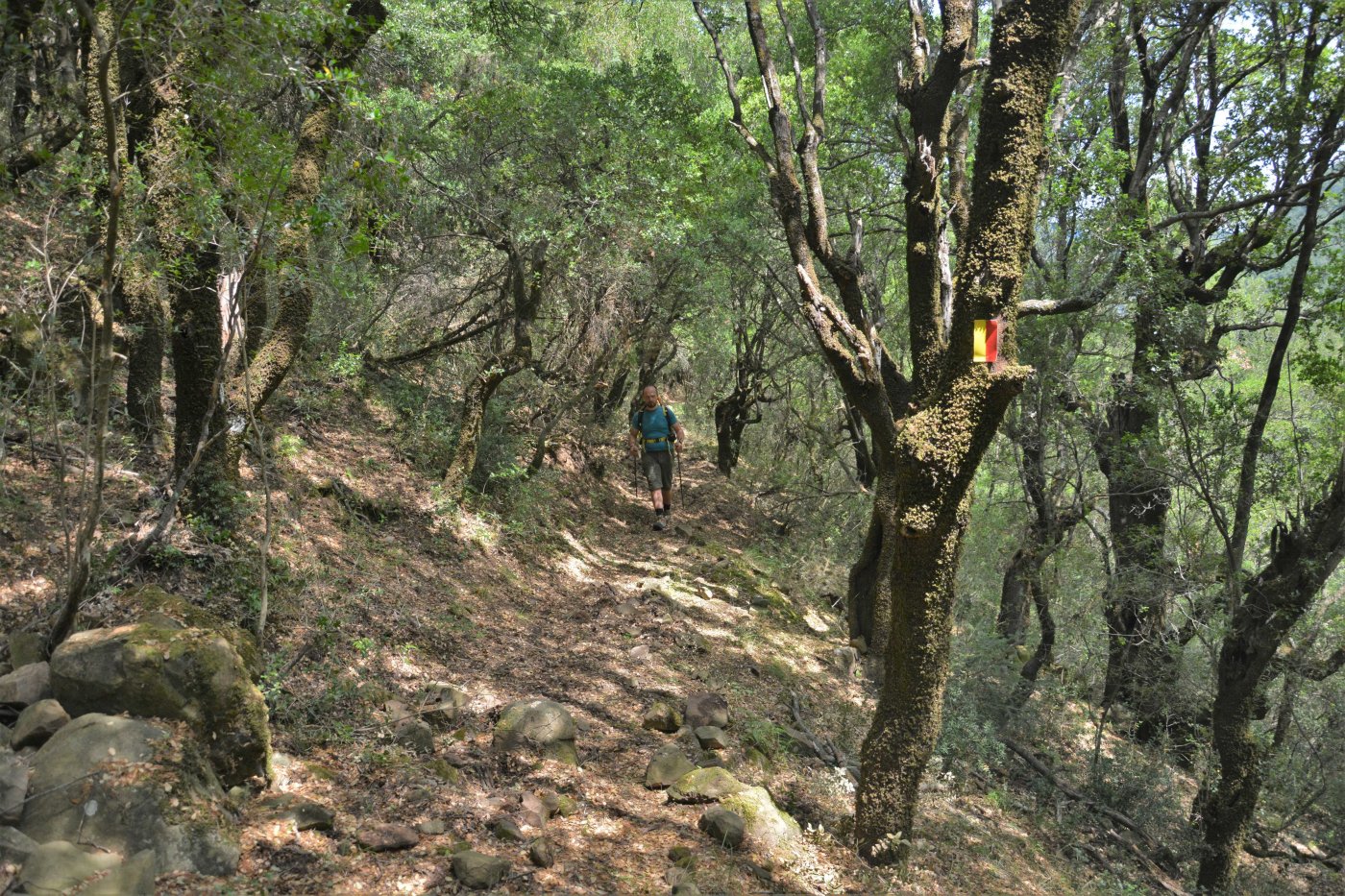 Sykia - Kato Mousounitsa - Ath. Diakos 12km > waymarkers completed