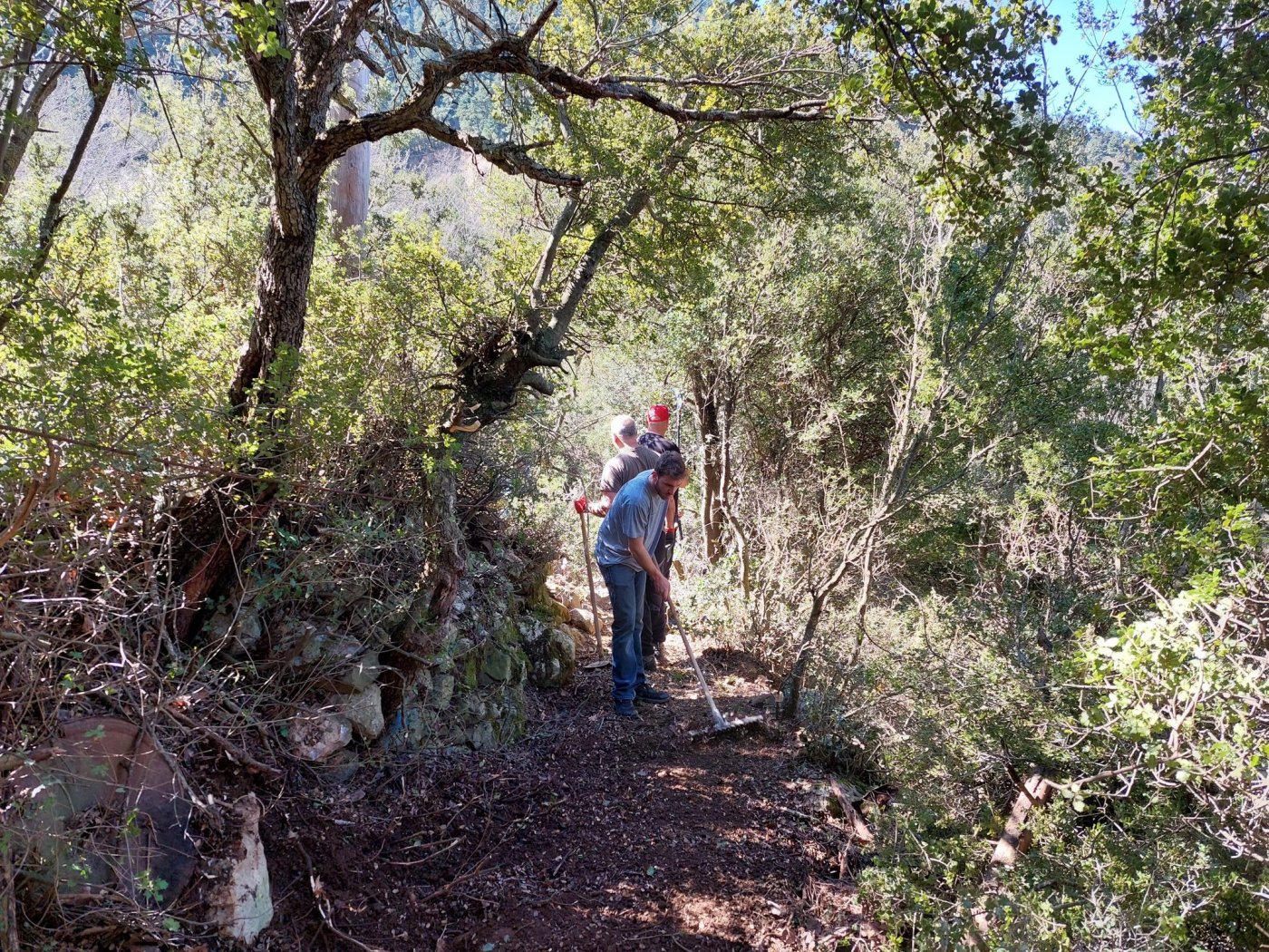 Restoration on the path Sikia - Mornos river - Gla ancient fortress