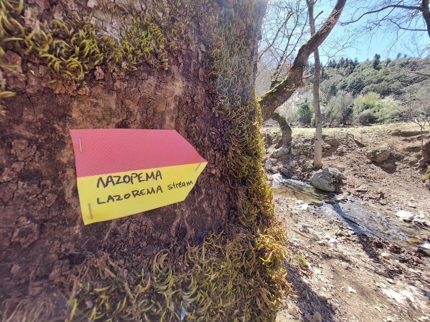 Restoration on the path Sikia - Mornos river - Gla ancient fortress