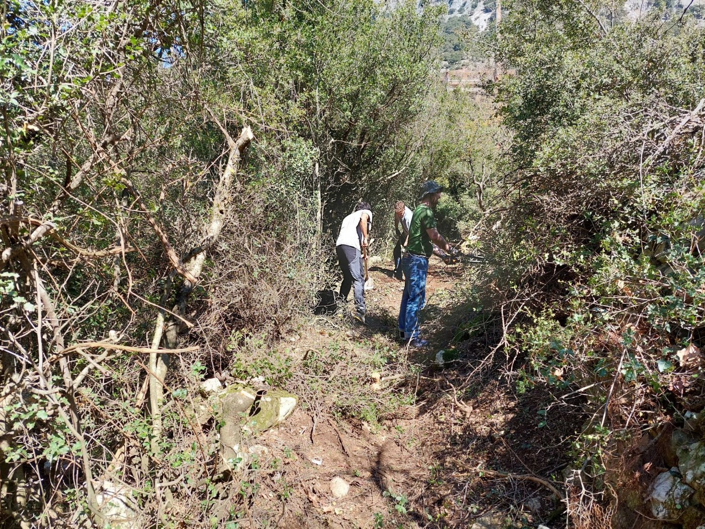 Restoration on the path Sikia - Mornos river - Gla ancient fortress