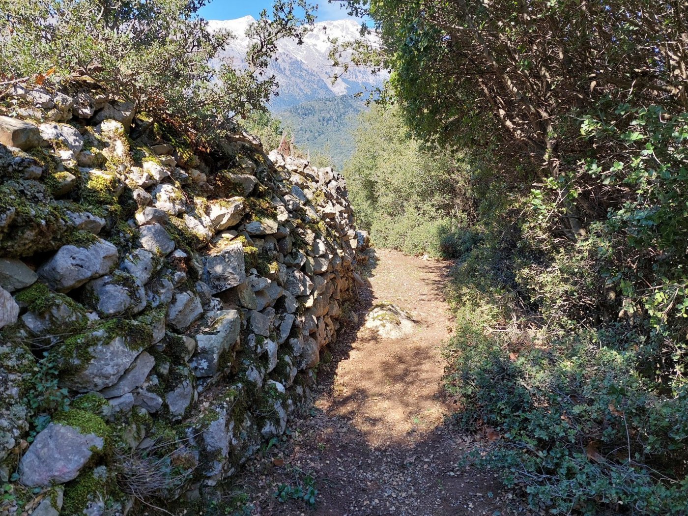 Restoration on the path Sikia - Mornos river - Gla ancient fortress