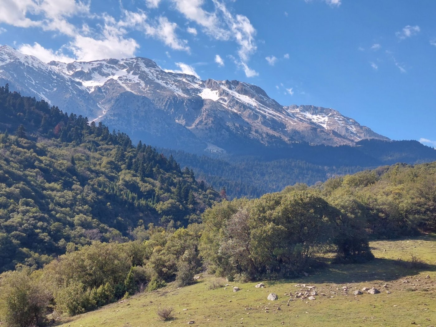 Pindus Trail - 2ήμερο εθελοντισμού στη Συκιά Φωκίδας