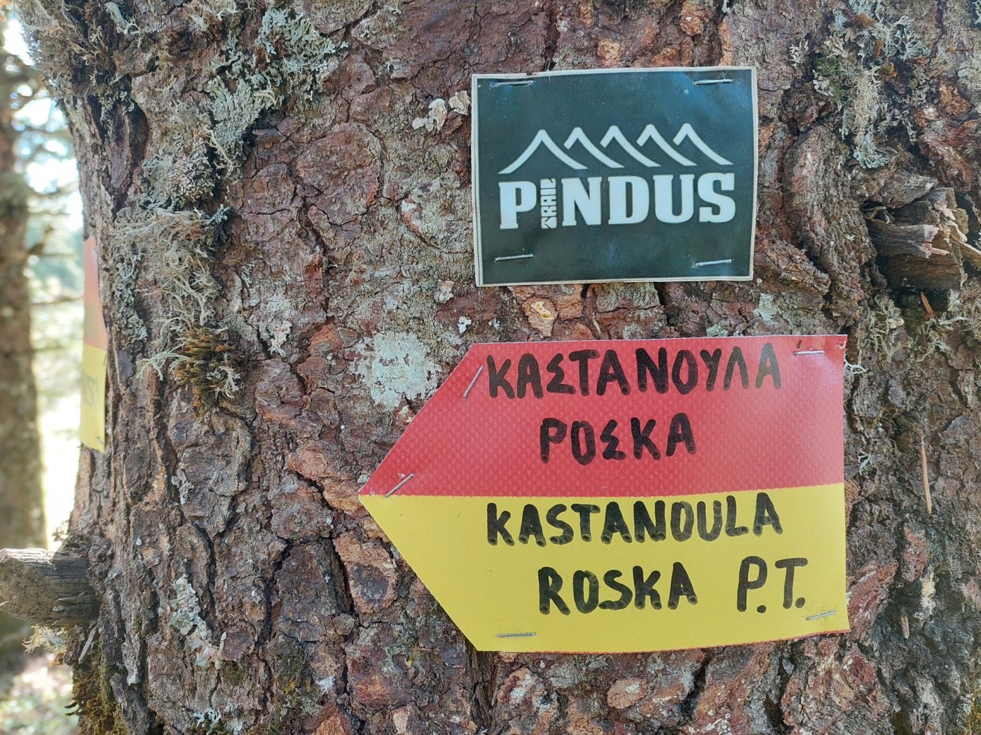 Domnista - Roska / path maintenance & temporary marking