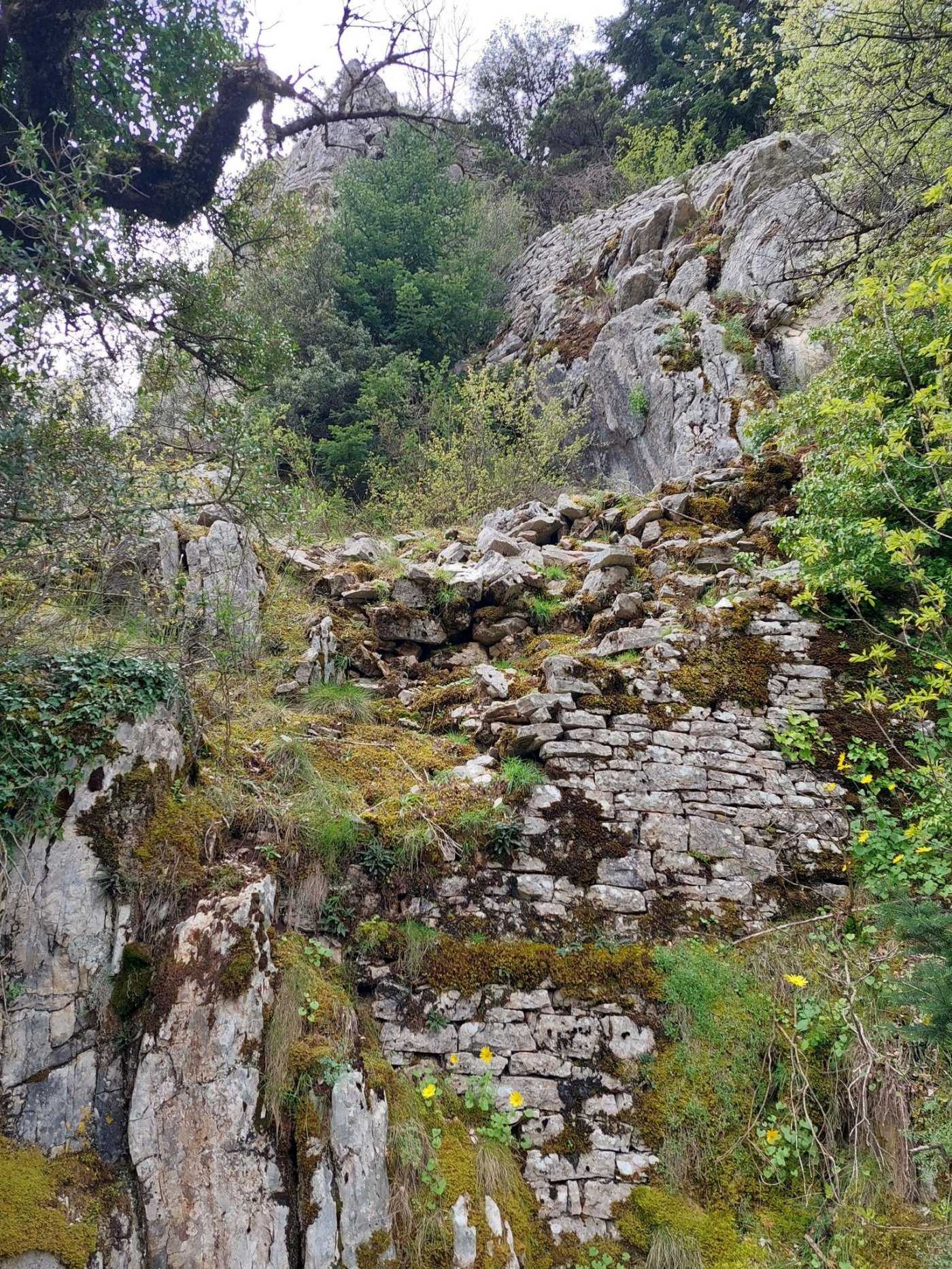 Συντήρηση & προσήμανση του μονοπατιού Δομνίστα - Τσούκα - Ροσκά