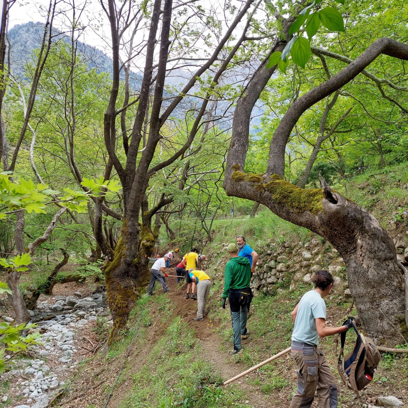 4 day volunteering camp at Sikia