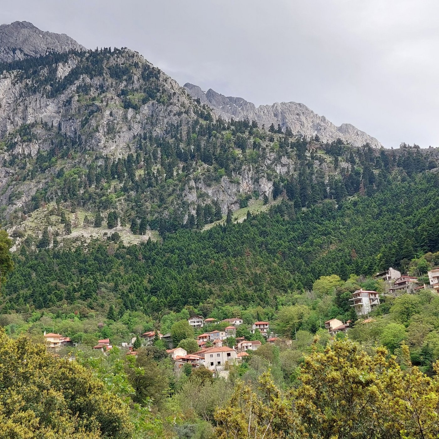 4ήμερο εθελοντισμού στο τμήμα Συκιά - Μόρνος - Κάτω Μουσουνίτσα μήκους 9χλμ