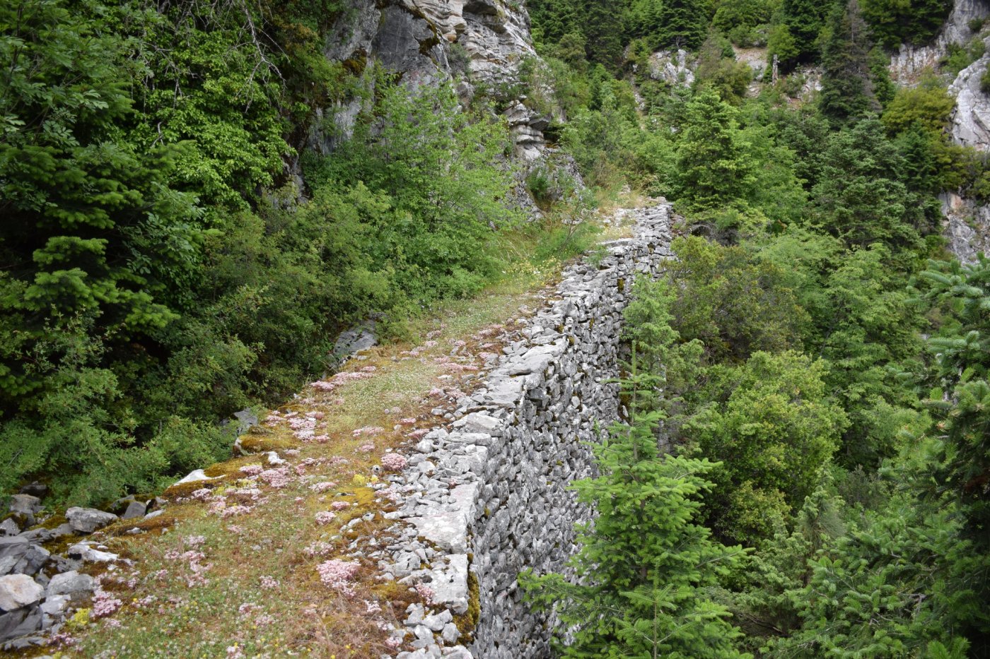 Evrytania`s forgotten stone paths