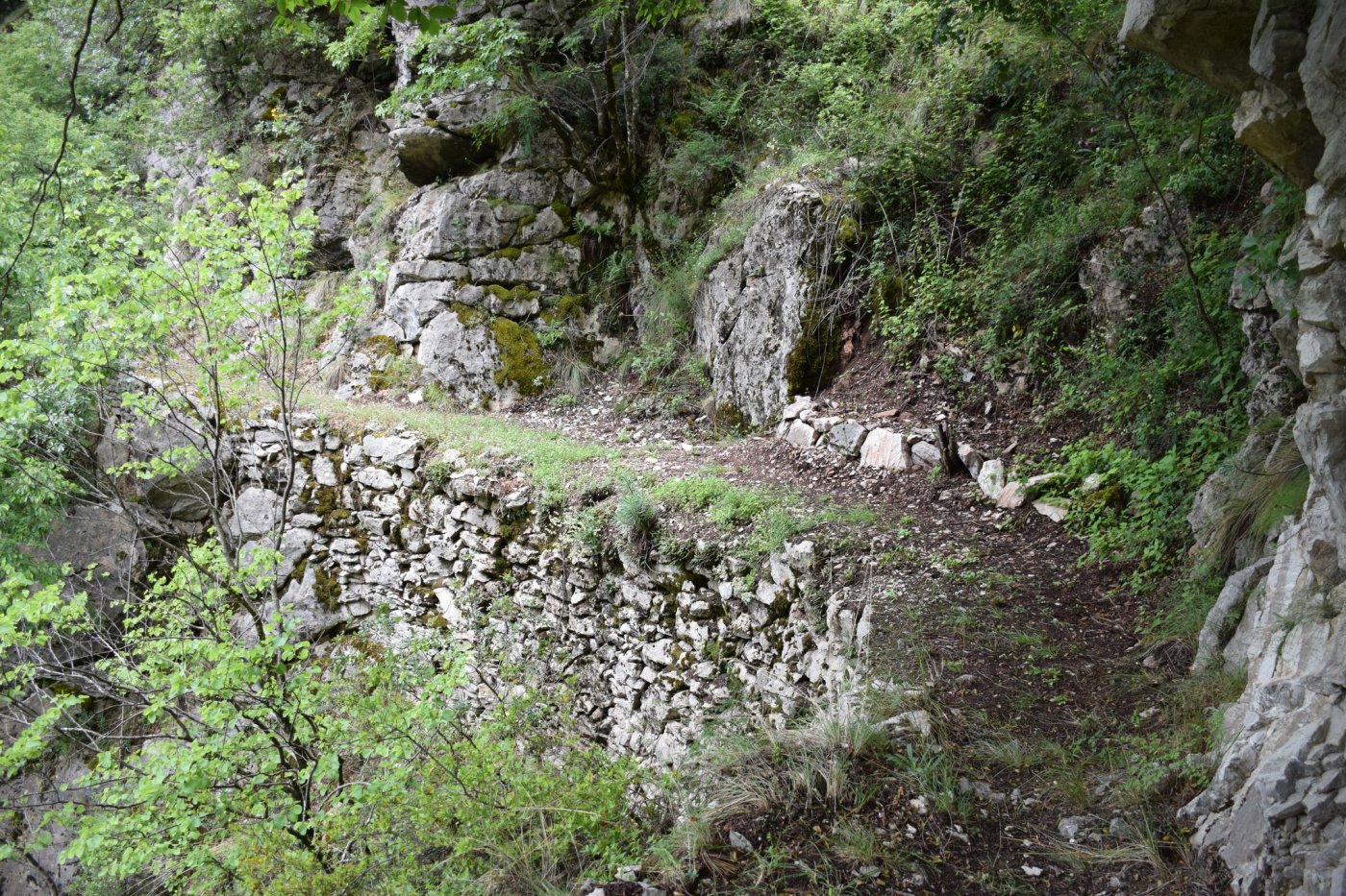 Evrytania`s forgotten stone paths