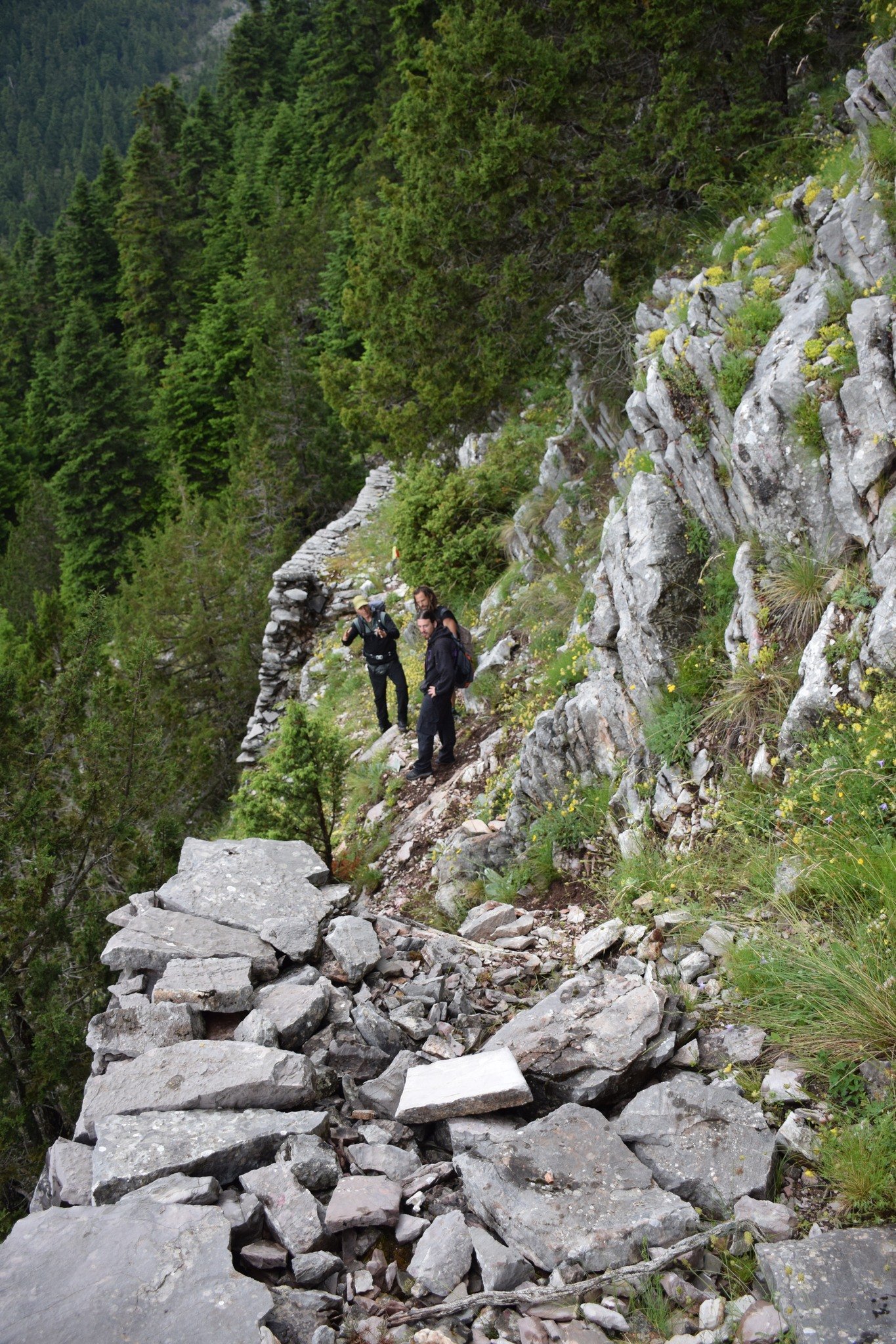 Evrytania`s forgotten stone paths