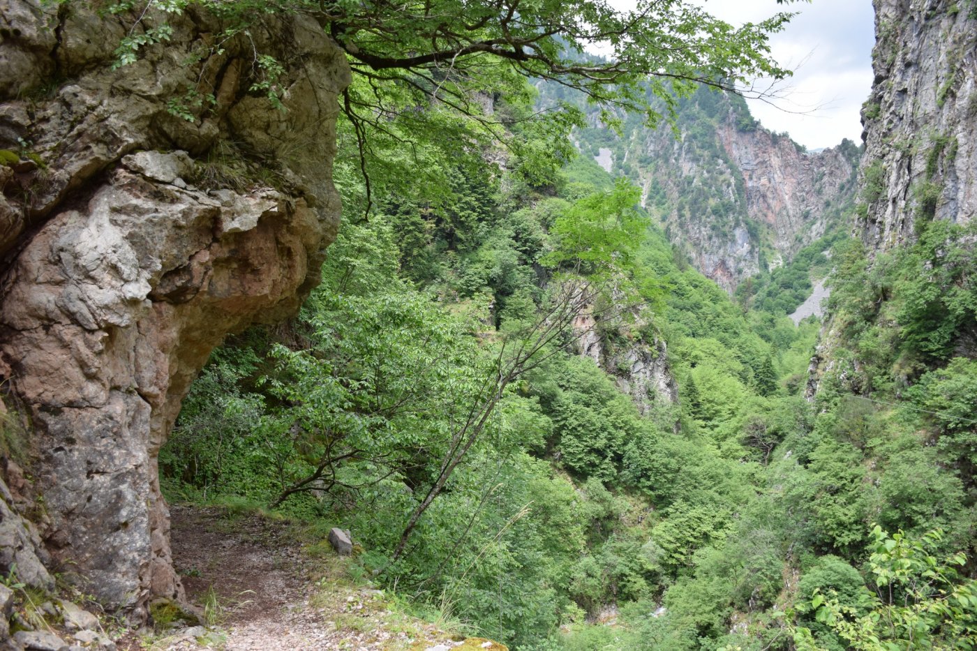 Αναζωογονημένο το μονοπάτι από τα Επινιανά για το φαράγγι του Ασπρορέματος / Άγραφα