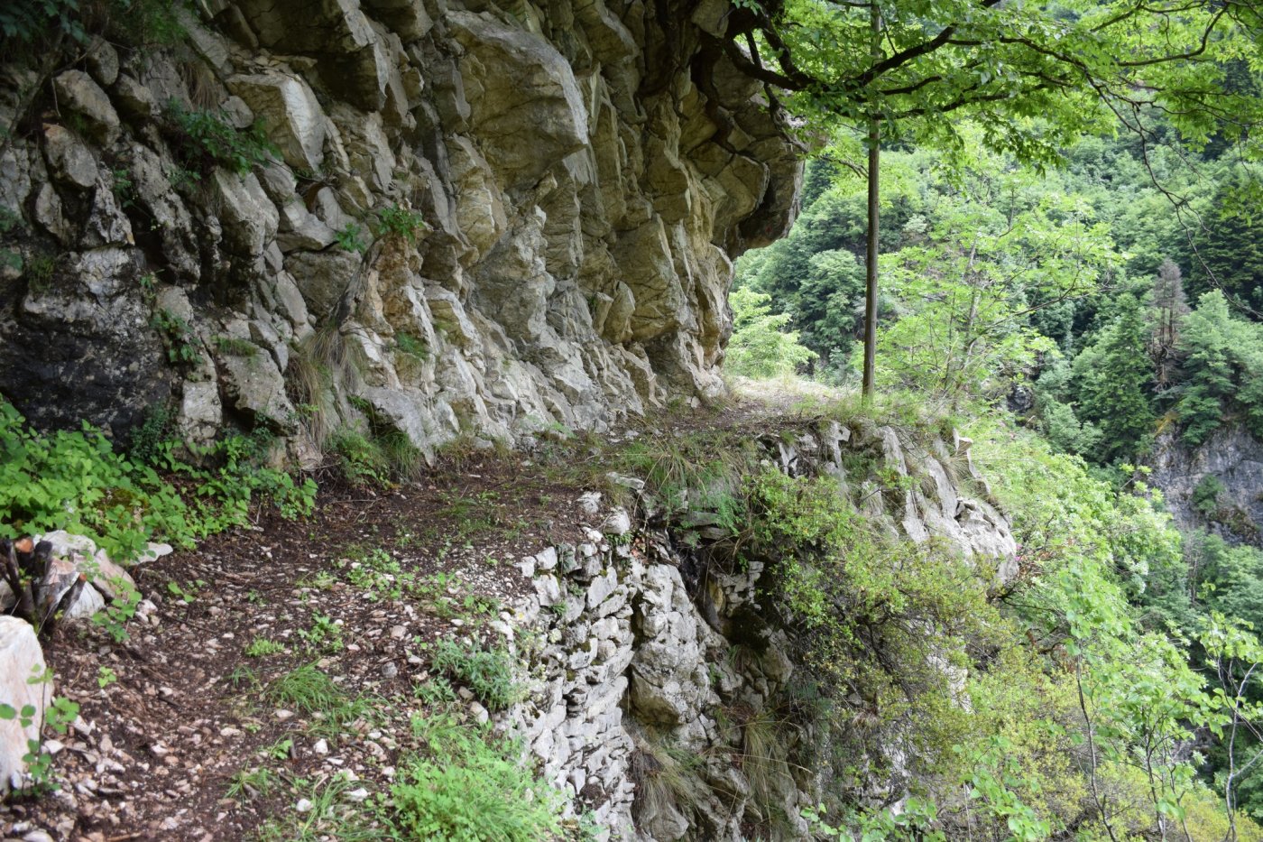 Daily section 18. Epiniana - Asprorema gorge 6km / Agrafa