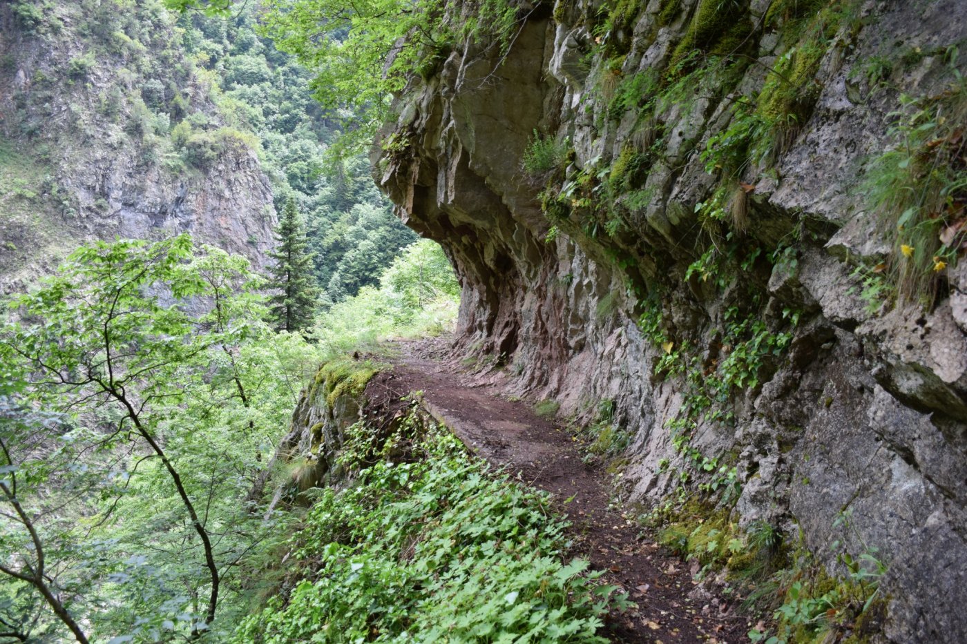 Daily section 18. Epiniana - Asprorema gorge 6km / Agrafa