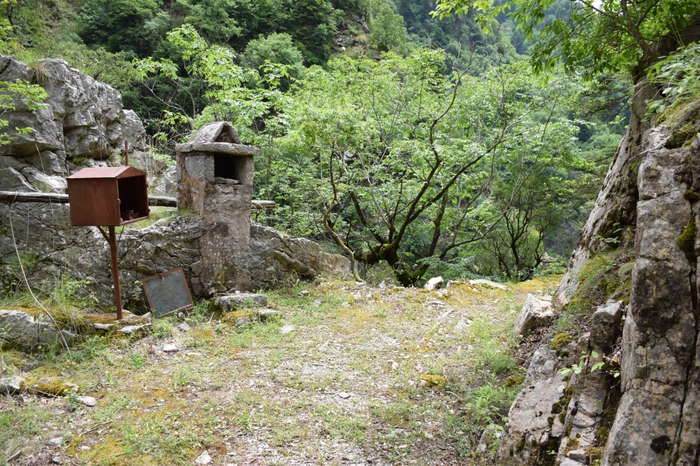 Αναζωογονημένο το μονοπάτι από τα Επινιανά για το φαράγγι του Ασπρορέματος / Άγραφα