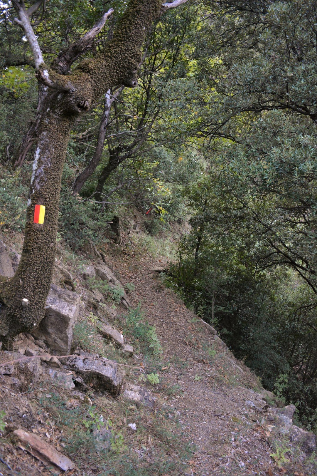 Pindus Trail - Άγραφα > Καρβασαράς - Ανηφόρα - Επινιανά