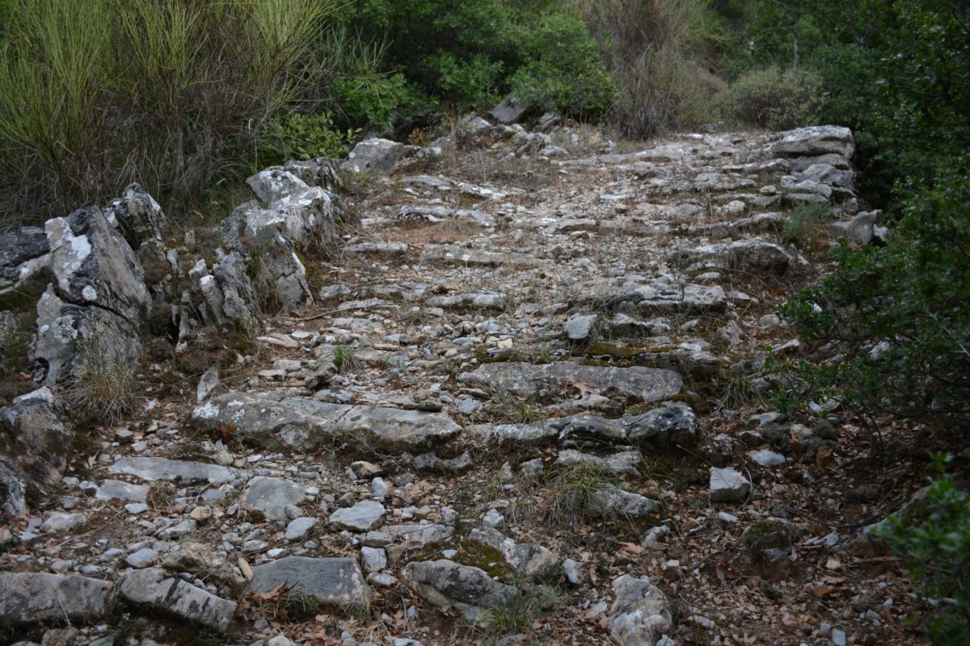Pindus Trail - Άγραφα > Καρβασαράς - Ανηφόρα - Επινιανά