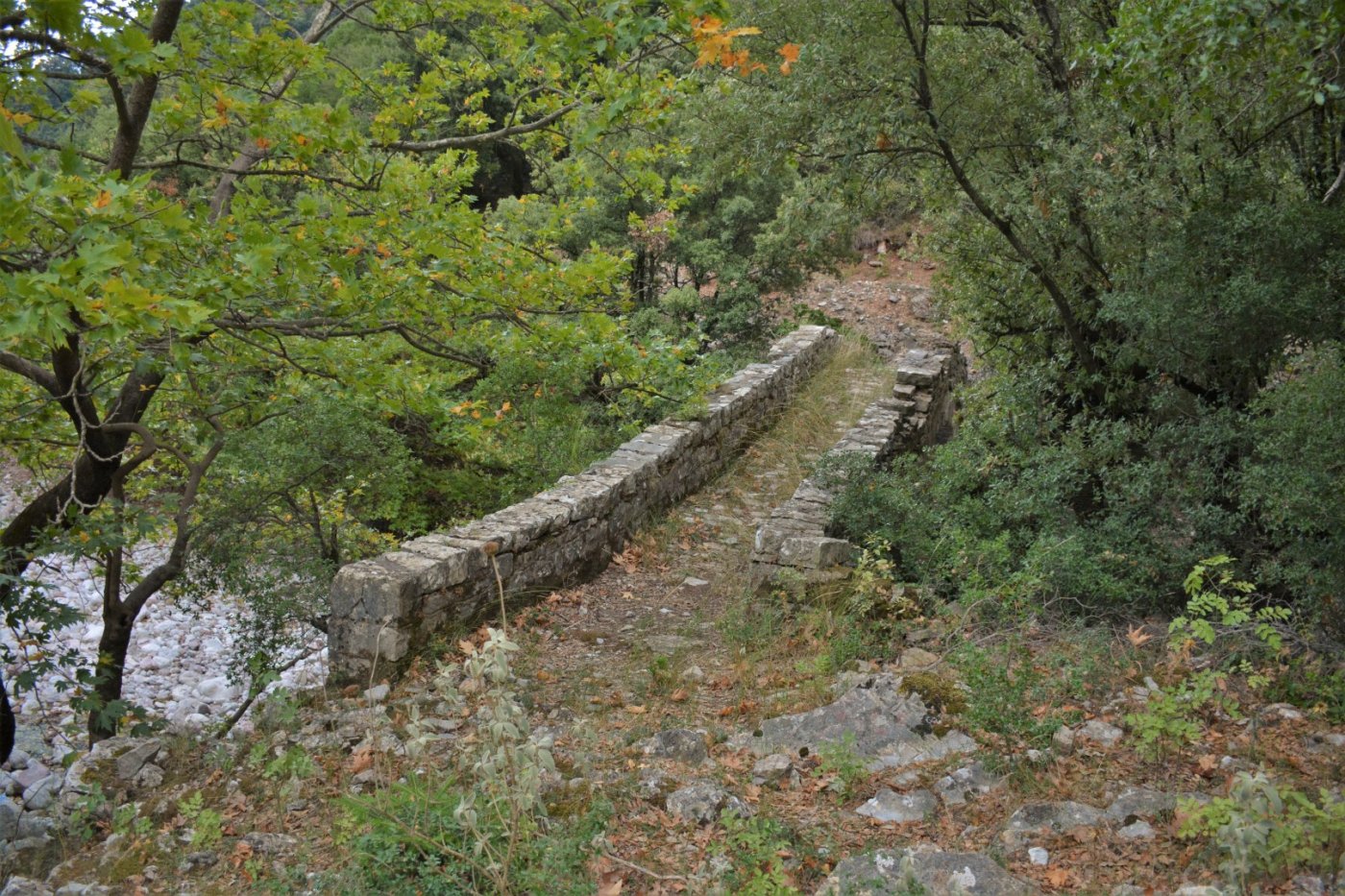 Pindus Trail - Άγραφα > Καρβασαράς - Ανηφόρα - Επινιανά