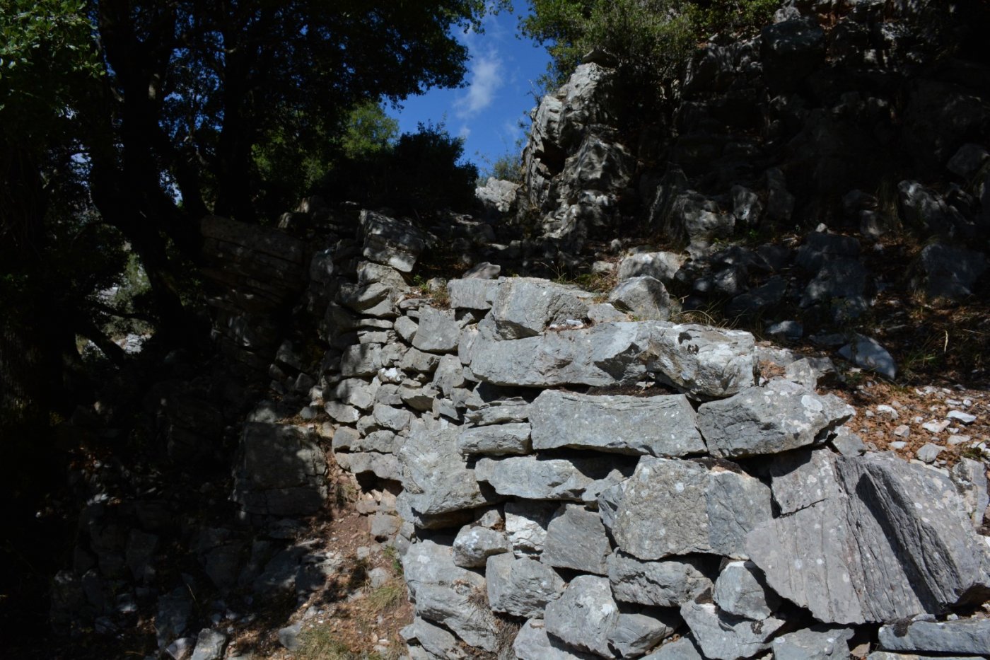 Pindus Trail - Agrafa > Karvasaras - Anifora - Epiniana