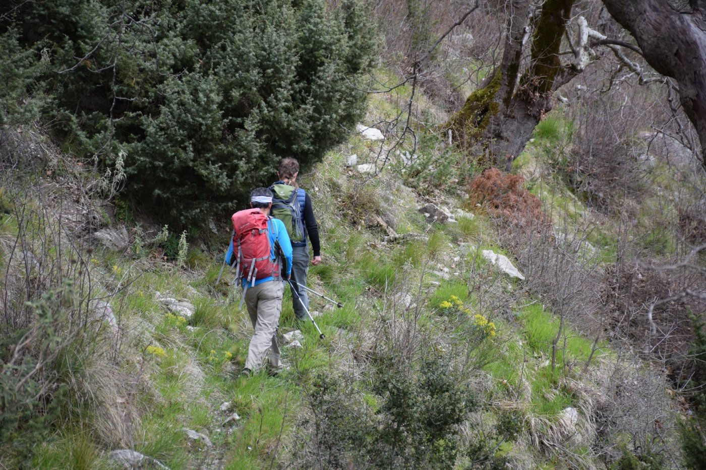 Εντοπισμός & διάνοιξη του τμήματος > Μυρόφυλλο - Γλύστρα - Κορυφή (Καπρό) / Χατζή