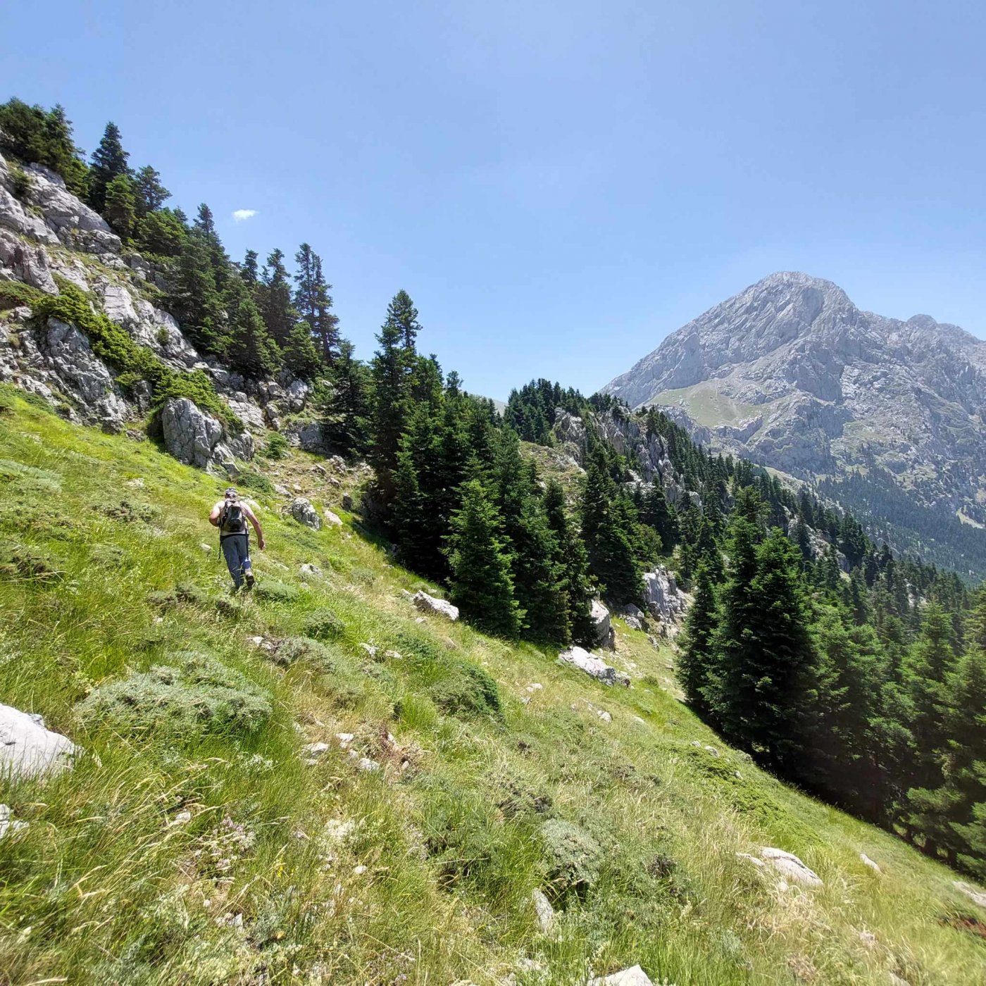 Συνεχίζεται η σήμανση του Pindus Trail στα υψίπεδα της Γκιώνας