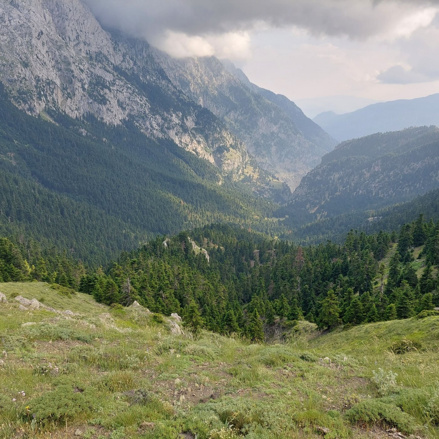 Συνεχίζεται η σήμανση του Pindus Trail στα υψίπεδα της Γκιώνας