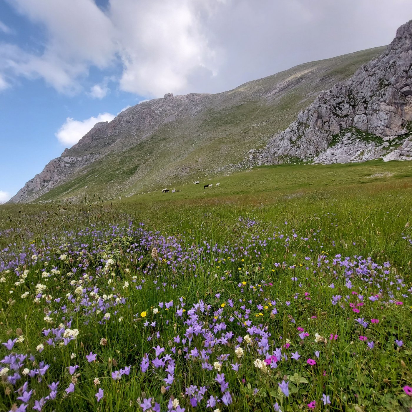 At an early stage is the waymarking & maintenance at Ghiona` plateaus