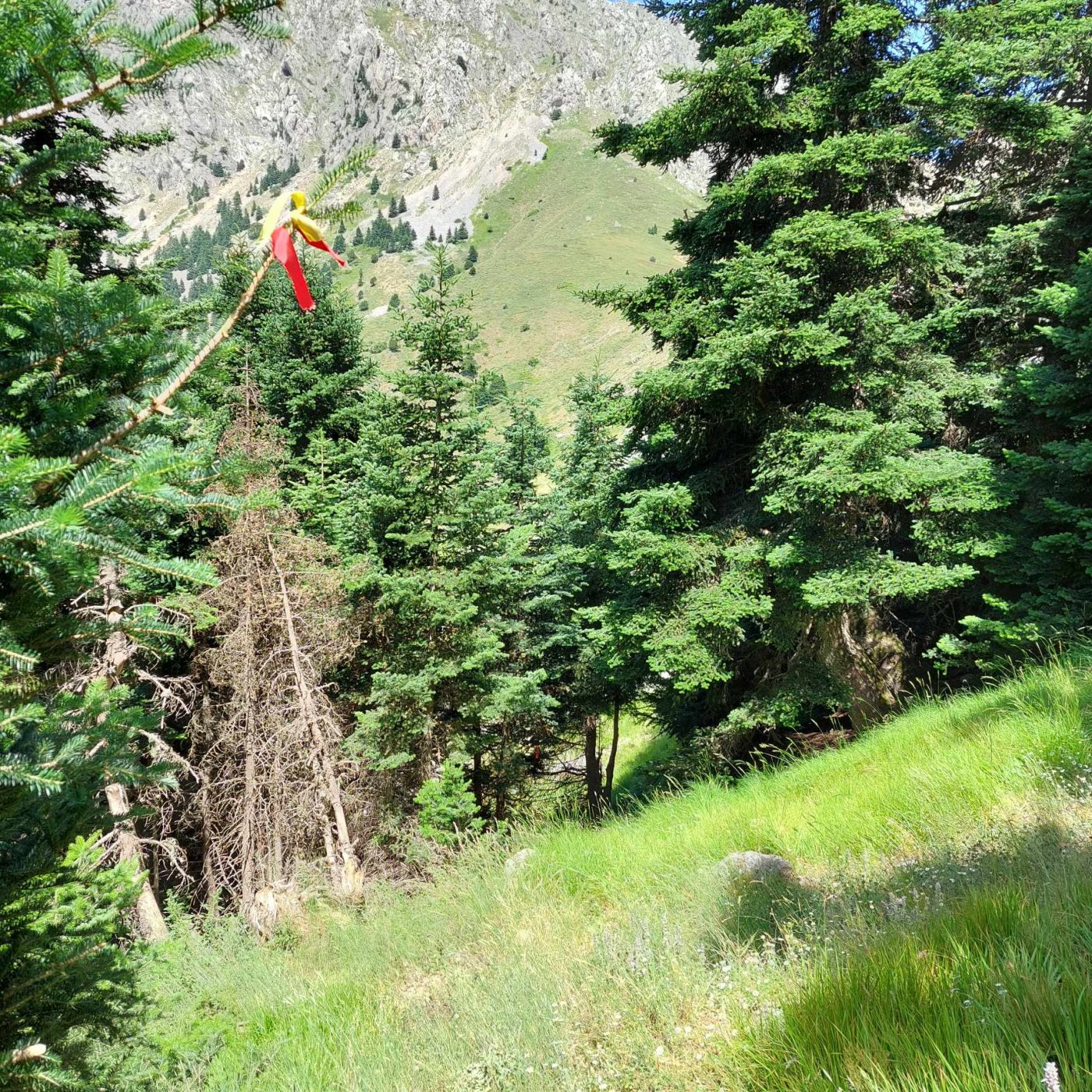 Συνεχίζεται η σήμανση του Pindus Trail στα υψίπεδα της Γκιώνας