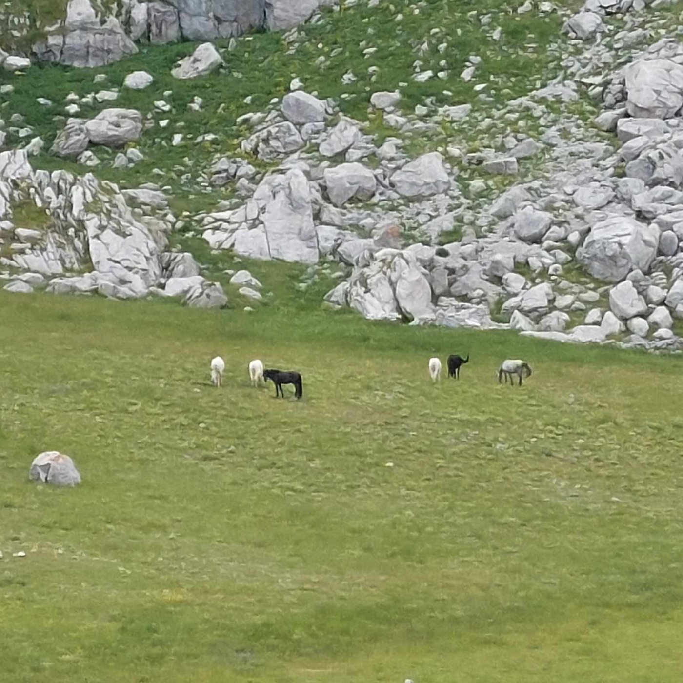 Συνεχίζεται η σήμανση του Pindus Trail στα υψίπεδα της Γκιώνας